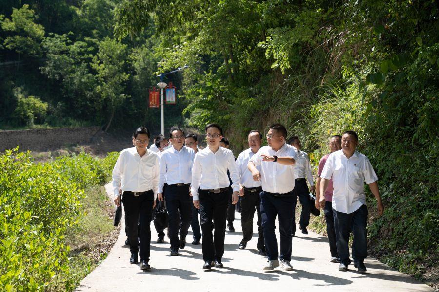 朱承軍赴高橋村考察調(diào)研扶貧工作(楊海青 攝) 朱承軍赴高橋村考察調(diào)研扶貧工作(楊海青 攝)