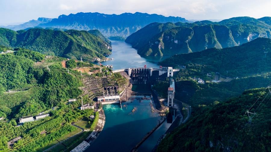 W020220513396299320590 W020220513396299320590