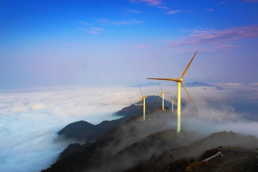 W020220513396300267772 W020220513396300267772