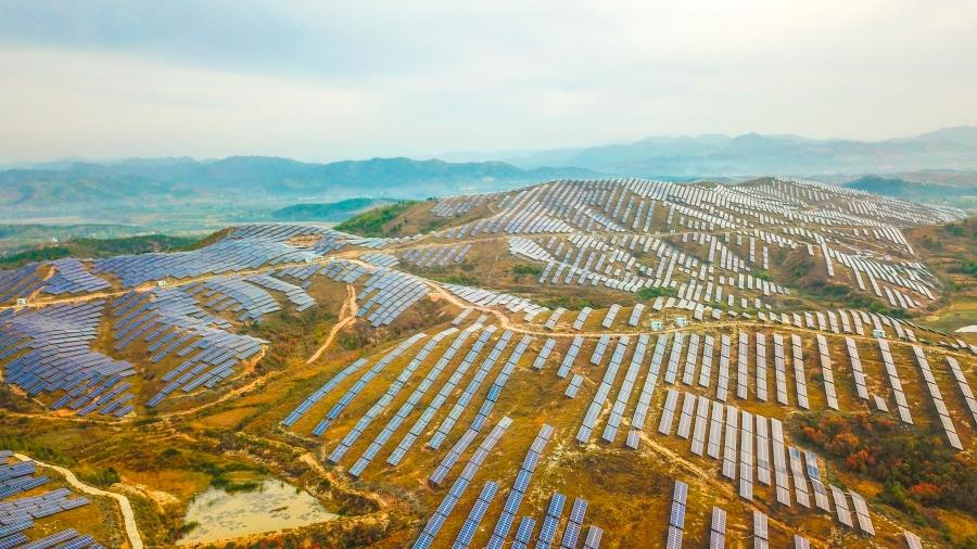 W020220513396300883849 W020220513396300883849